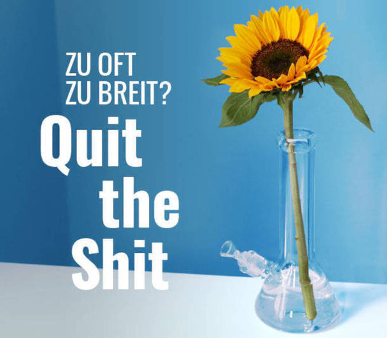Quit-the-shit_GS_Thema_Cannabis